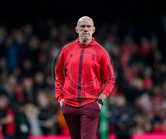 Wales v New Zealand