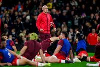 Wales v New Zealand