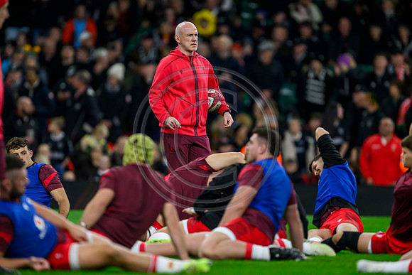 Wales v New Zealand