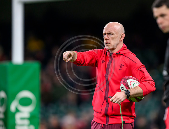 Wales v New Zealand