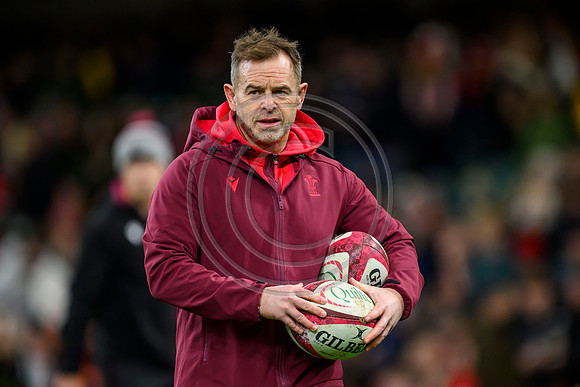 Wales v New Zealand