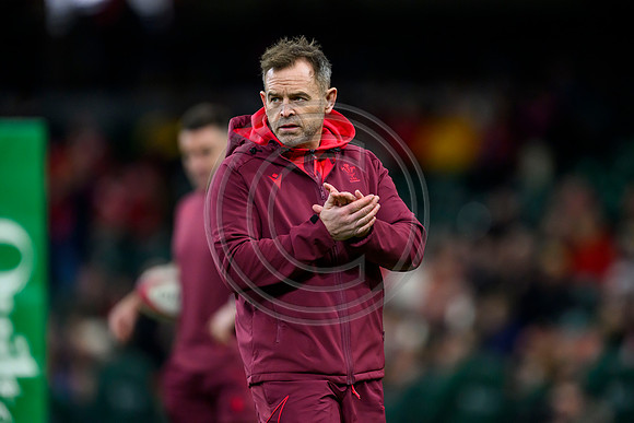 Wales v New Zealand