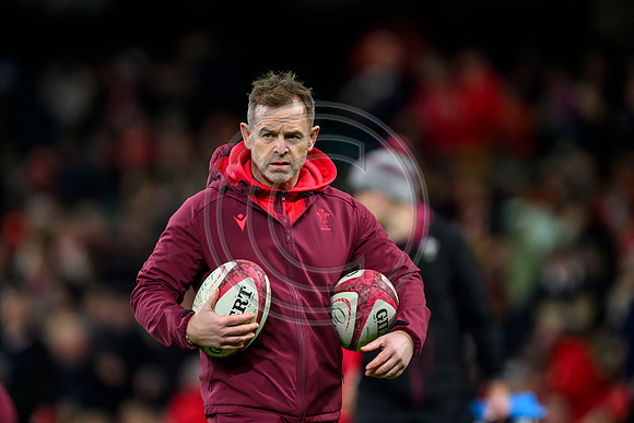 Wales v New Zealand