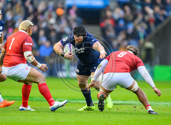 Scotland v Tonga