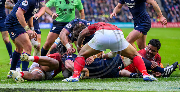 Scotland v Tonga