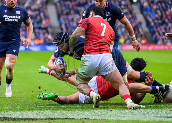 Scotland v Tonga