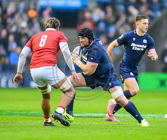 Scotland v Tonga