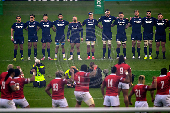 Scotland v Tonga