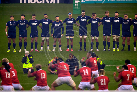 Scotland v Tonga