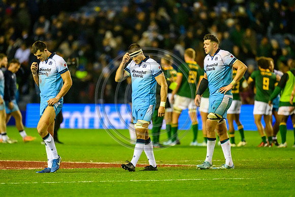 Scotland v South Africa