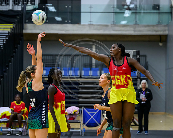 Northern Ireland v Uganda
