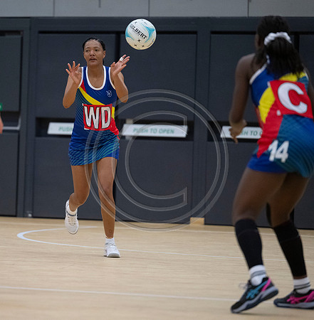 Thistles v Namibia