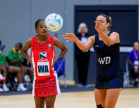 Wales v Zimbabwe