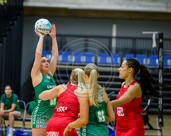 Wales v Northern Ireland