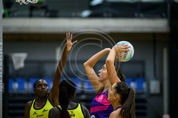 Thistles v Uganda
