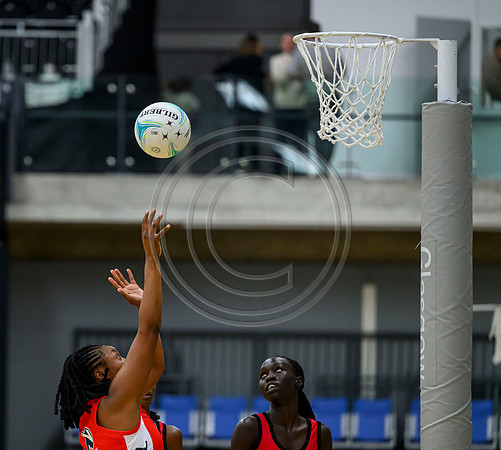 Uganda v Zimbabwe