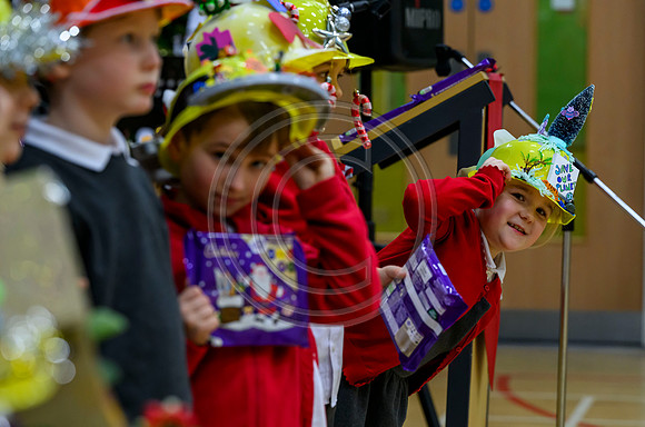 Design a Hard Hat competition Stepps