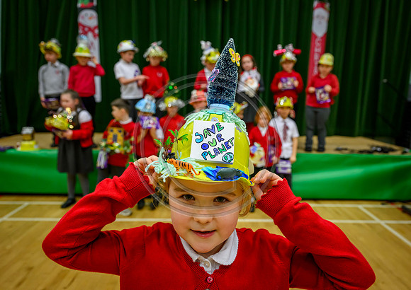 Design a Hard Hat competition Stepps