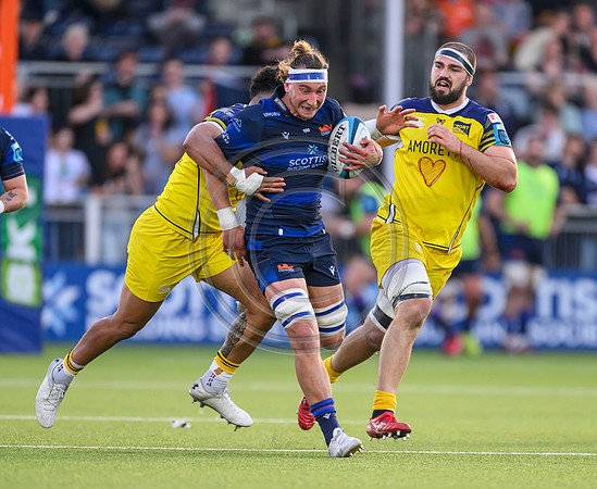 Edinburgh v Zebre