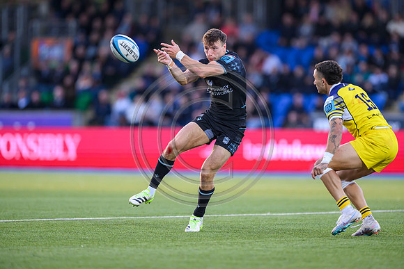 Warriors v Zebre