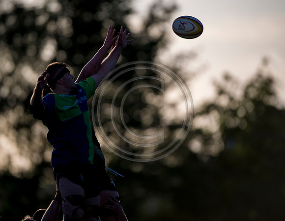 Boroughmuir Bears v Southern Knights