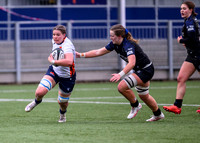Edinburgh v Warriors