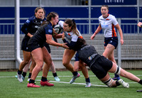 Edinburgh v Warriors