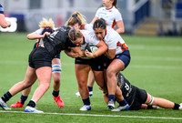 Edinburgh v Warriors