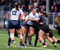Edinburgh v Warriors