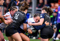 Edinburgh v Warriors