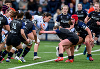 Edinburgh v Warriors