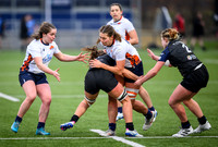 Edinburgh v Warriors