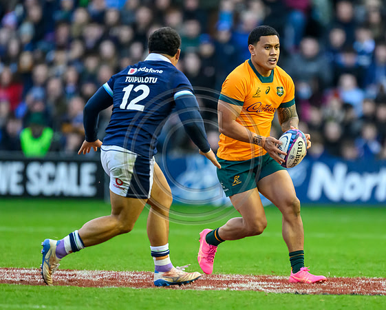 Scotland v Australia