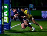 Warriors v Zebre