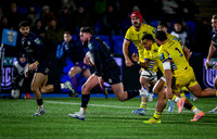 Warriors v Zebre