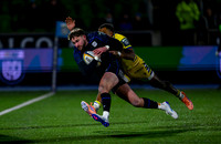 Warriors v Zebre