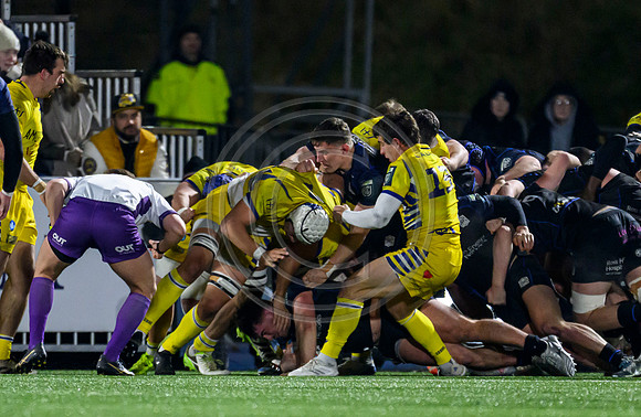 Warriors v Zebre