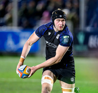 Warriors v Zebre