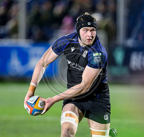 Warriors v Zebre