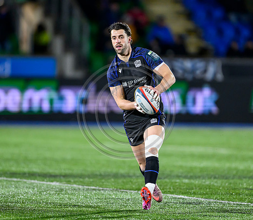Warriors v Zebre