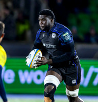 Warriors v Zebre