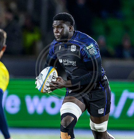Warriors v Zebre