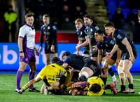 Warriors v Zebre