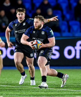 Warriors v Zebre