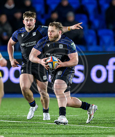 Warriors v Zebre