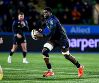 Warriors v Zebre