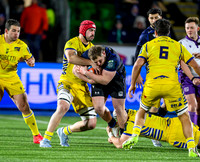 Warriors v Zebre