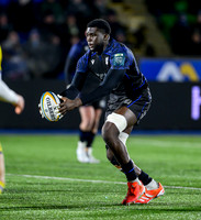 Warriors v Zebre