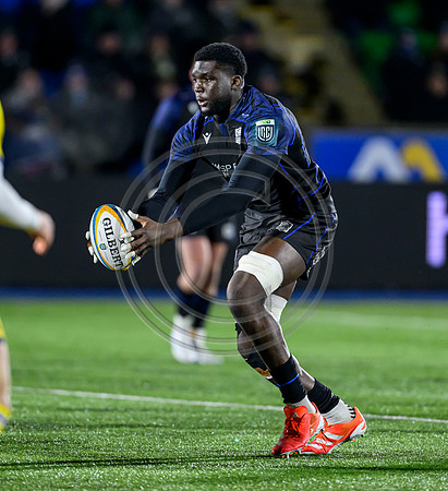 Warriors v Zebre