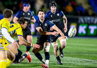 Warriors v Zebre